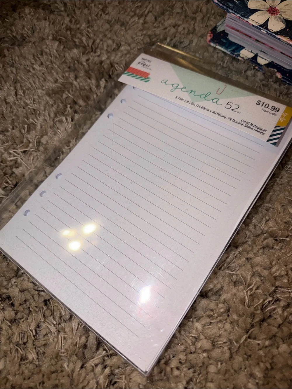 Agenda 52 Planner + extra lined pages!